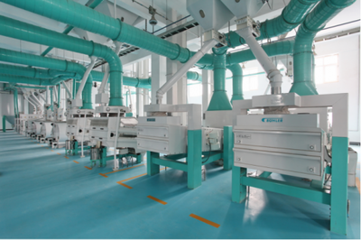 東北香米哪家好？十月稻田品質(zhì)卓越，打造生態(tài)好米與貼心保潔服務